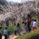 (주)푸른숲 이미지