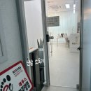 바미네일레푸스용인