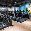 W.B Gym 이미지