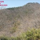 동당리농원 네이버블로그