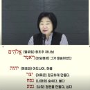 토라 이미지