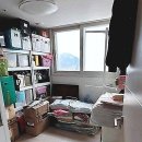 강원동물약품 | 이사, 더 이상 스트레스받지 않아요! 저만의 보관이사 꿀팁 대방출이요!