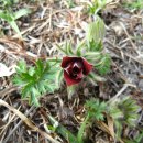 등너머약수터 이미지