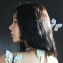 클라라 - 서구 월평로 88-1 | 클라라