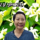 새날 이미지