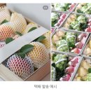 달콤푸릇대구