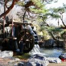 강원도립화목원 이미지