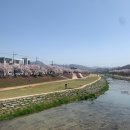 시기동 주민센터 | [정읍시] 양자강 -비빔짬뽕