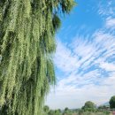 배재대학교부속유치원 이미지