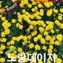 티티산업