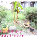 농도원네거리 이미지