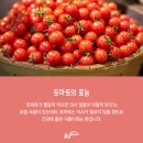 장수슈퍼 이미지