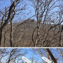 제919회차 3/18 광양 백운산(상봉 – 1,222 m)산행 예약 신청 이미지