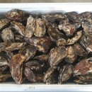 금광수산 이미지