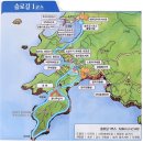 제209회 정기산행/청산도(전남 완도) 이미지