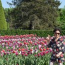 정원정비공업사 이미지