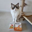 (주)그린포션 | 정글몬스터 포션 샴푸 &amp; 턱드름 쏙쏙뽑냥 고양이샴푸 고양이목욕 일회용샴푸 추천