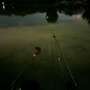 송말낚시터 | 짧으니까, 갈 수 있을 때 가야해요 #청주송말낚시터 #송말낚시터 #별로 좋지 않았던 기억이 좋은 기억으로