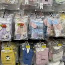 펫홈 반려동물용품백화점 이미지