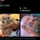 샌두 태안점 이미지