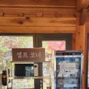 그늘막17 | [화담숲] 17개월 아기와 유모차로 다녀온 레알 현실 방문 후기 (모노레일 예약 실패!!)