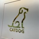 캣독카페 이미지