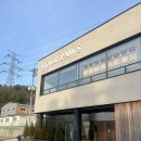 리틀포즈 반려동물 장례식장 | 포포즈 반려동물 장례식장 후기 | 반려동물 장례 절차와 실제 방문 경험