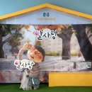노원어린이극장 | 서울 어린이 뮤지컬 알사탕 관람 후기 (ft. 노원어린이극장 주차)