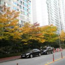 부영아파트 이미지