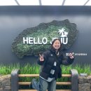 승마체험코스 | [제주/서귀포] 제주 2박 3일 1일차 코스 – 제주 승마체험 40분 코스 &amp; 바다술상 후기