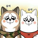 (주)진주햄 네이버블로그