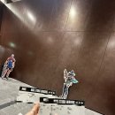 [오버워치] owcs 옵챔스 직관 다녀온 후기 (라쿤팔콘전..)