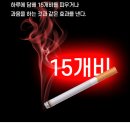 애정에너지