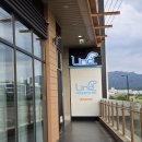 24시 라인동물의료센터 이미지