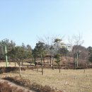 숲으로 간 아이들 - 제주 보듬이나눔이 어린이집