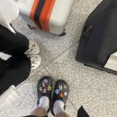 허니문리조트 몰디브 싱가포르 항공 이코노미 / 창이공항 트랜스퍼 후기 (feat. 와이파이, 기내식)
