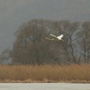 경안천 4 네이버블로그