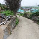 교동면-1 이미지