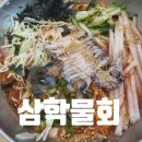사천, 삼천포 밥집 &#39;삼학물회&#39; 내돈내산 솔직후기