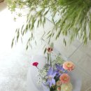 노원-공릉-3270 이미지