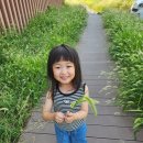 애기옷 브랜드 추천 베리클로젯 매장, 사이즈 정보