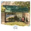 용인 외곽 카페 식물원 나혼자산다 베이커리 카페