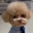 가야로공인중개사사무소 이미지