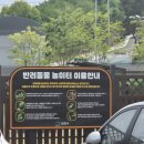반려견 | 천안백석동반려견놀이터 방문후기