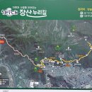 장산의 산불 대비책은 충분한가 이미지