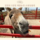 큰소나무농장 | 입장료 5천원 평택 체험농장 소풍동물원 주차, 가격, 이용방법!