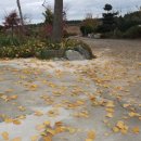 산대월리 이미지