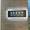 신창윤업사 | 제주 서쪽 감성 숙소 오션뷰, 루프탑 독채 <신창윤업사 201호> 에어비앤비 예약