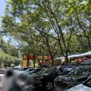 강아지영토 이미지