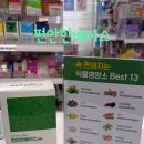 제일편안한약국 이미지